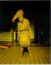 MontrealPlay L'ecole des bouffons 1995